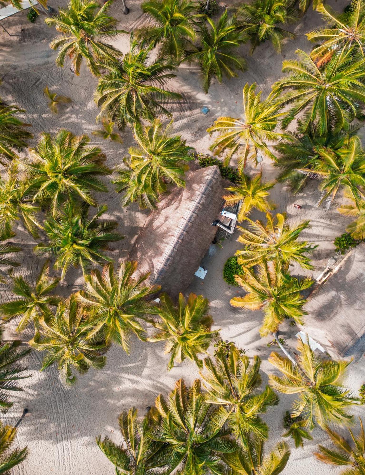 Aite Eco Resort Palomino Zewnętrze zdjęcie